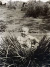 Gordon B Davis photos